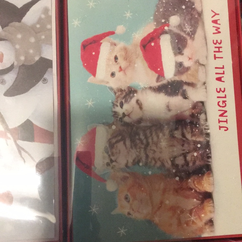 🎉64 cards 🎉4 sets of Christmas cards & envelopes
